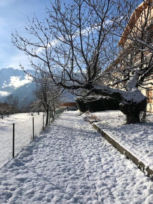 Appartement Rez De Jardin Montee De L'Alpe D'Huez La Garde  Luaran gambar