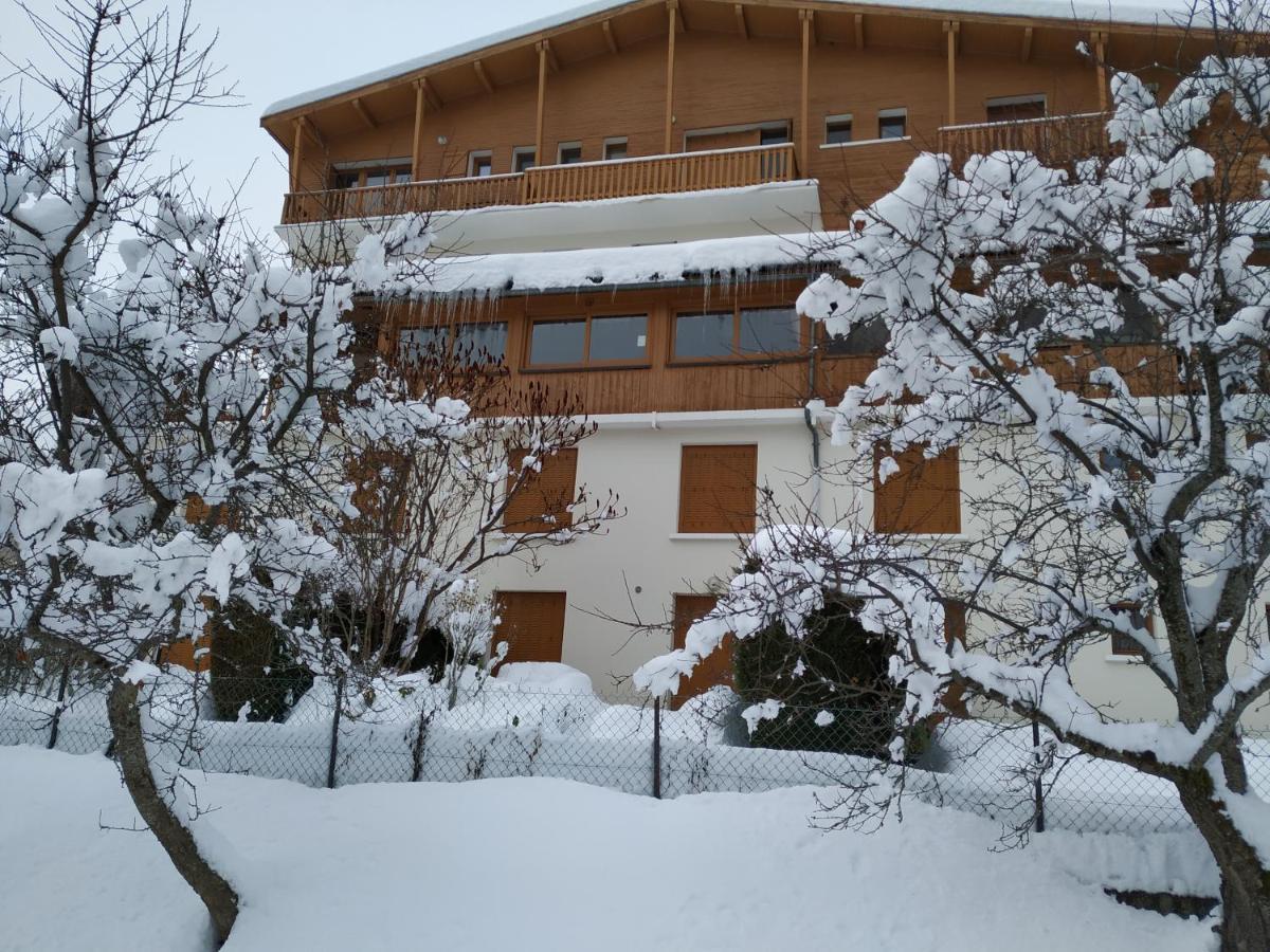 Appartement Rez De Jardin Montee De L'Alpe D'Huez La Garde  Luaran gambar